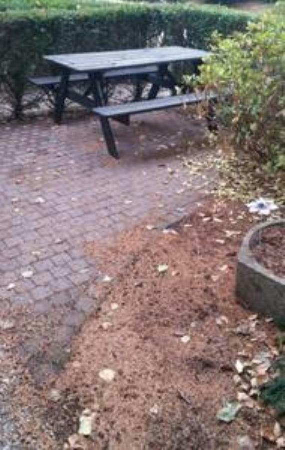 Appartement De Groote Peel Nederweert Экстерьер фото