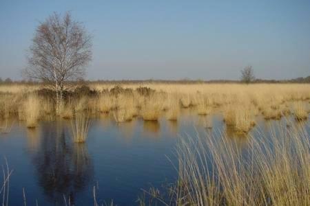 Appartement De Groote Peel Nederweert Экстерьер фото